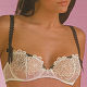 Soutien gorge Corbeille bonnets D