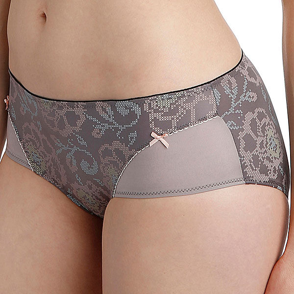 photo n&deg;2 : Boxer