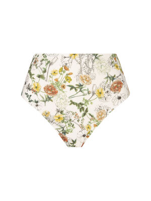 Culotte