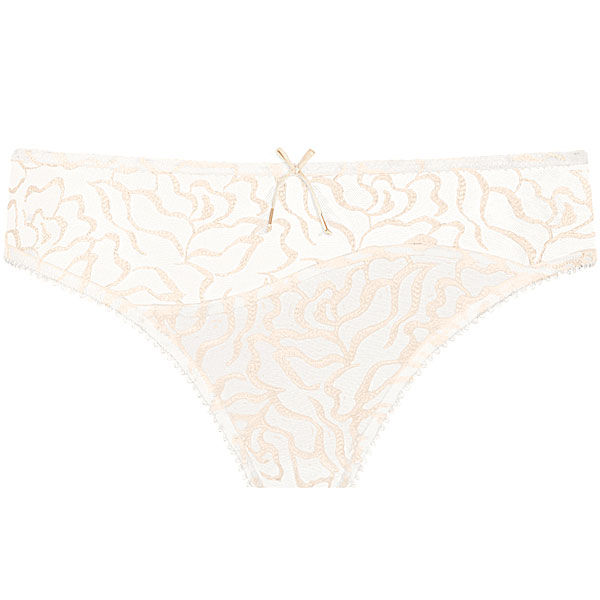 Brief