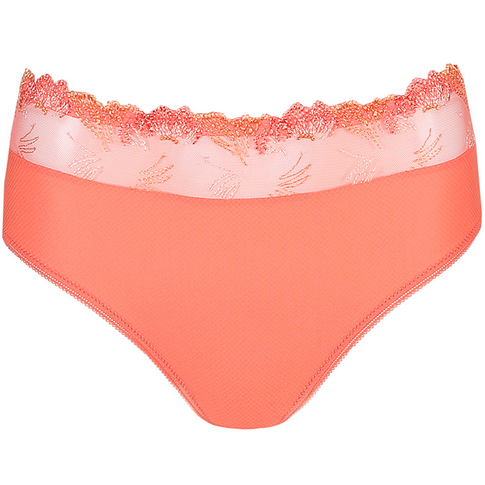 Culotte