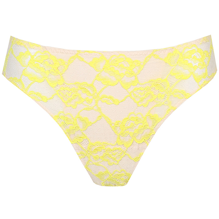 photo n°1 : Brief
