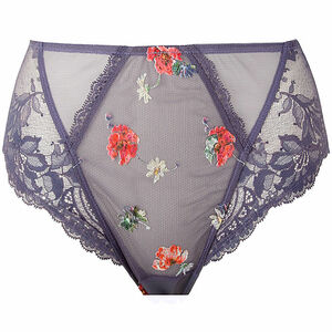 Full brief