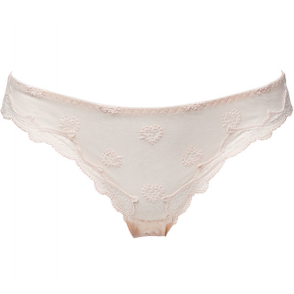 photo n°1 : Brief