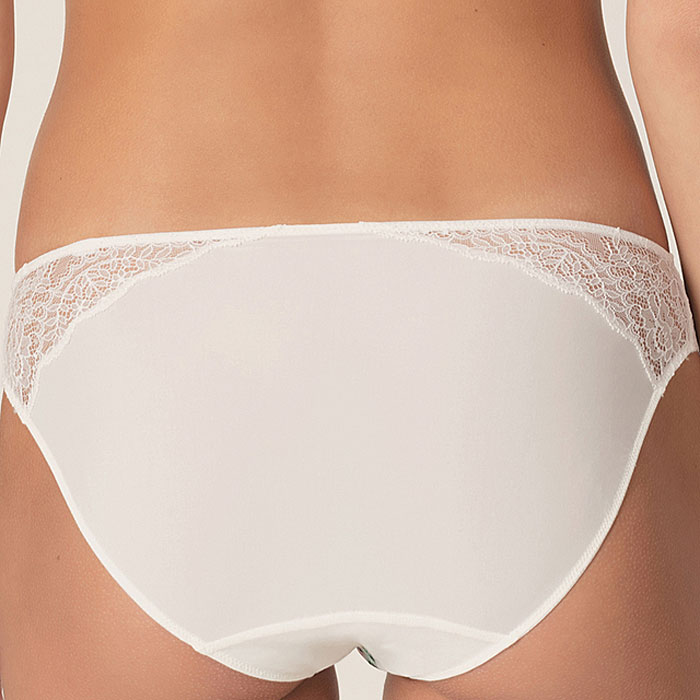 photo n°2 : Brief