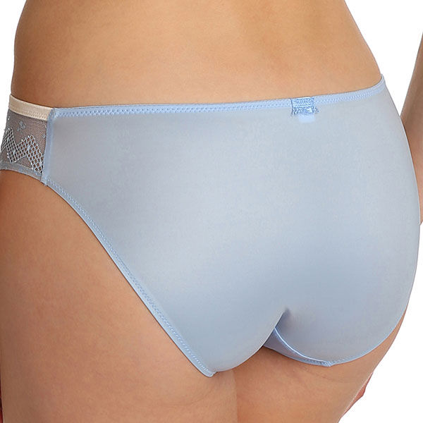 photo n°2 : Brief