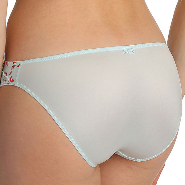 photo n°2 : Brief