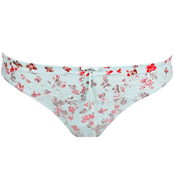 photo n°1 : Brief