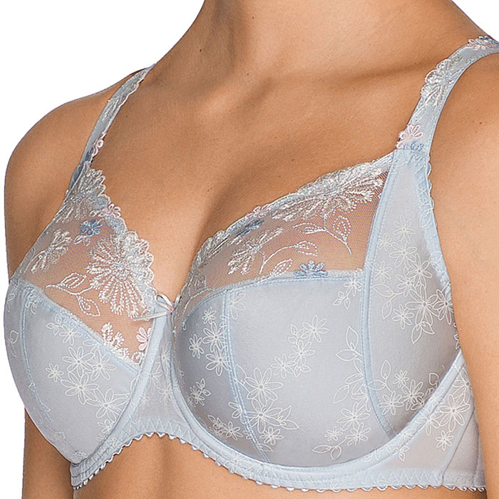 photo n°2 : Wire Bra