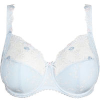Wire Bra