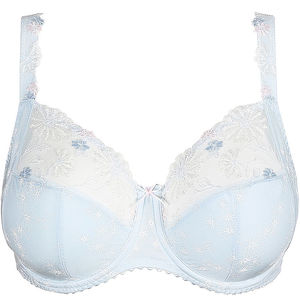Wire Bra