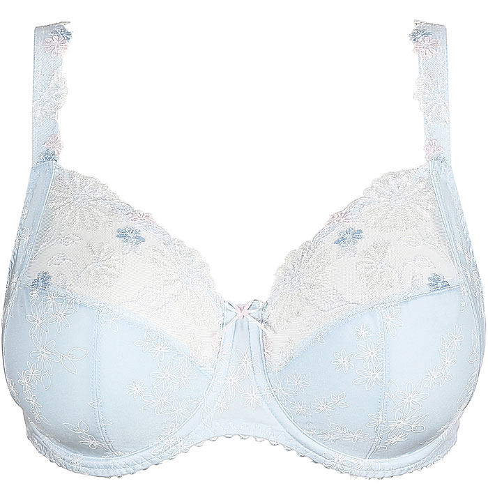 photo n°1 : Wire Bra