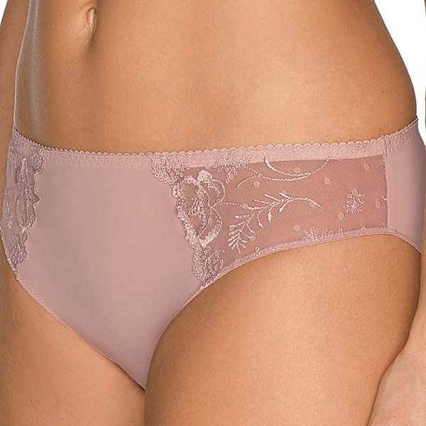 photo n°2 : Brief