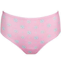 Culotte