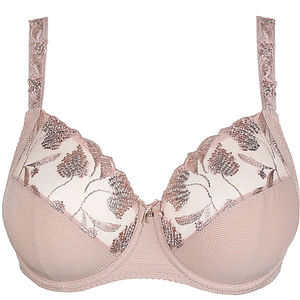 Wire bra