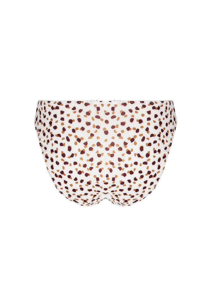 photo n°2 : Brief