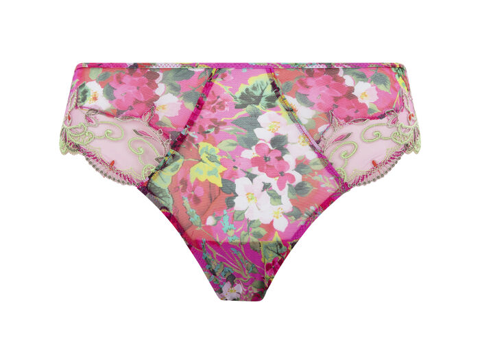 photo n°1 : Brief