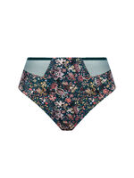Full brief