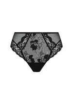Full Brief