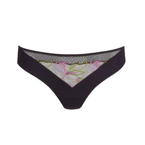 Brief