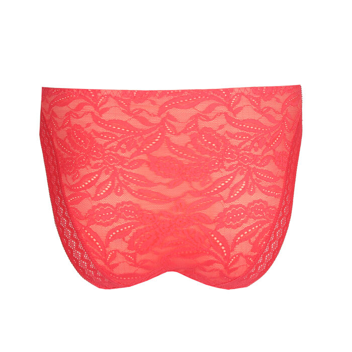 photo n°2 : Brief