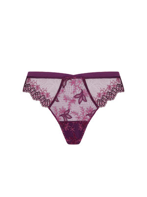 Italian brief