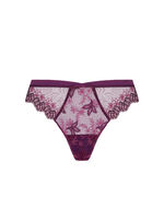 Italian brief