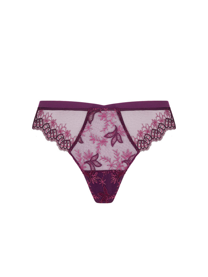 photo n°1 : Italian brief
