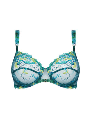 Wire full cup bra