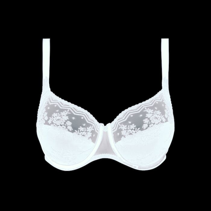 Full cup wire bra