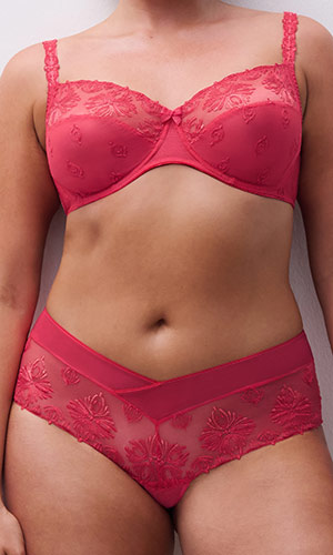 Champs Elys&eacute;es