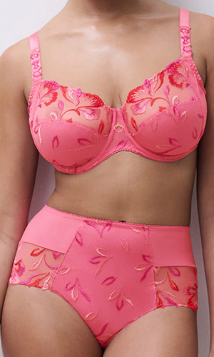 Flamboyant Pink