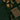 Deep Forest