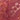 Rose Santal